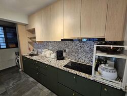 Blk 96 Skyparc @ Dawson (Queenstown), HDB 4 Rooms #554209041